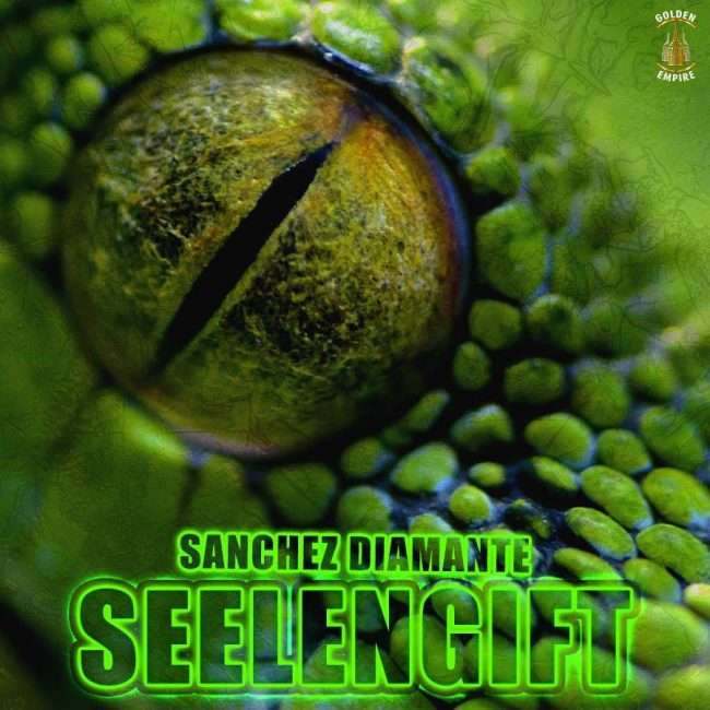 Sanchez Diamante - Seelengift I Cover-Shooting in Attendorn I Fotograf in Attendorn I Compdorn Studios